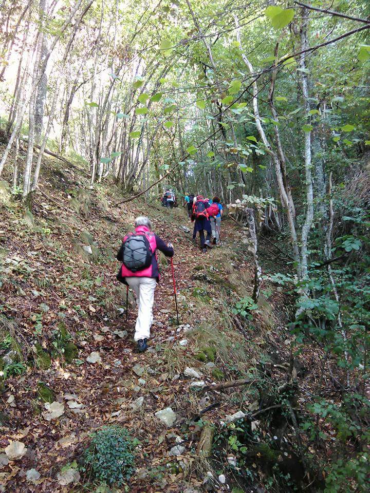 FB IMG 1505719719082