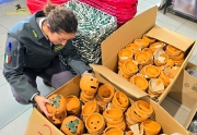 Halloween in sicurezza, le Fiamme gialle sequestrano oltre 100mila articoli