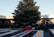 Camerino, tutto pronto per la ventesima "Festa del Torrone"