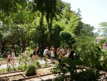 Camerino Attività estive all&#039;Orto Botanico di Unicam. 1 agosto appuntamento con spin off Mumo