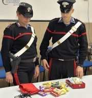 Tenta di scappare con la droga nello zaino, arrestato giovane ventenne