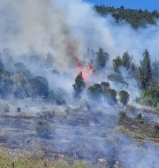 Brucia sterpaglie e innesca un incendio nel bosco