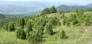 Riapre la caccia nelle aree di Rete Natura 2000