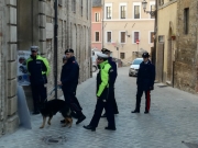 Cani antidroga nelle scuole. Controlli a Tolentino e San Severino