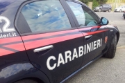 Schiacciato tra trattore e rimorchio, morto un 79enne
