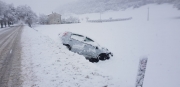 San Severino: alberi crollati e auto fuori strada.