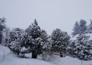 La neve &egrave; arrivata ma non si registrano criticit&agrave;