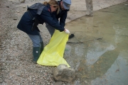 Mor&igrave;a di carpe al lago di Caccamo. Dalle analisi emerge positivit&agrave; all'edema della carpa