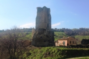 Torre di Carpignano. Avviso pubblico per i lavori di messa in sicurezza