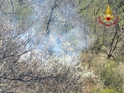 Vasto incendio in un costone, in fumo 2 ettari di bosco