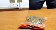 Pluri-denunciato, arrestato dalla GdF provinciale di Macerata