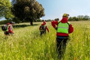 Si perde nelle campagne di Treia, 84enne ritrovata a Grottaccia di Cingoli