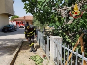 Cade da una pianta e resta infilzato in una ringhiera. Tragedia sfiorata a Montefano