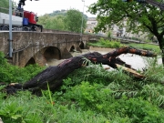 Fiume Potenza: ripulito dai tronchi portarti a valle dalle piogge