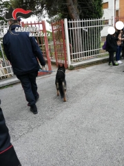 Controlli straordinari nelle scuole e sugli autobus